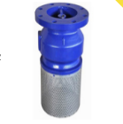 FLANGED END FOOT VALVE