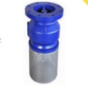  FLANGED END FOOT VALVE