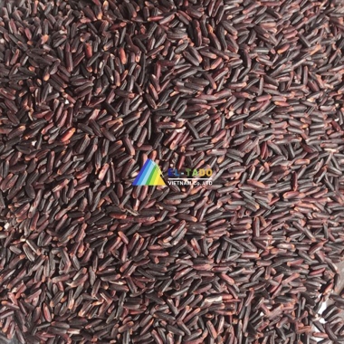 VIETNAM PURPLE RICE - 5% BROKEN
