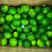 FRESH FRUITS - LEMON (LIME)