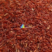 VIETNAM RED RICE - 5% BROKEN