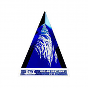 VIETNAM PREMIUM FRAGRANT RICE ST25 - 5% BROKEN