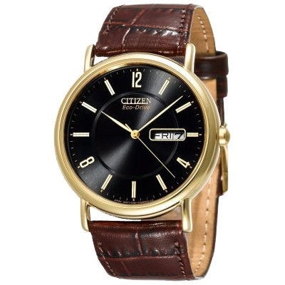 Citizen mens eco-drive gold-tone leather watch