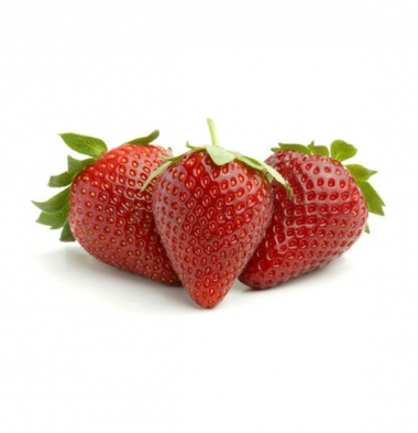 DÂU TÂY SOLLICITUDIN