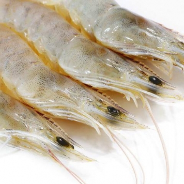 Tôm Xú Nhiệt Đới