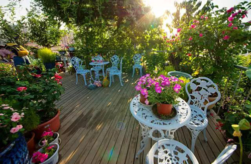 Khu vườn xanh ngát trên mái chung cư khiến hàng xóm nổi giận