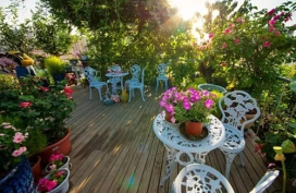 Khu vườn xanh ngát trên mái chung cư khiến hàng xóm nổi giận