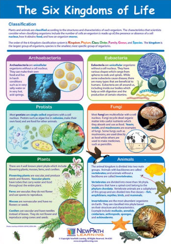 The Six Kingdoms of Life Poster, Laminated