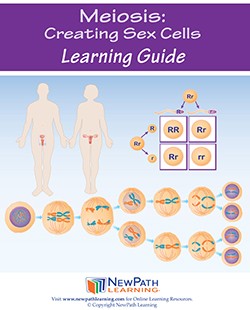 Meiosis: Creating Sex Cells Student Learning Guide - Grades 6 - 10 - Print Version - Set of 10