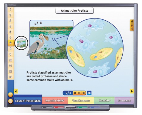 Protists - Pond Microlife Multimedia Lesson - Downloadable Version