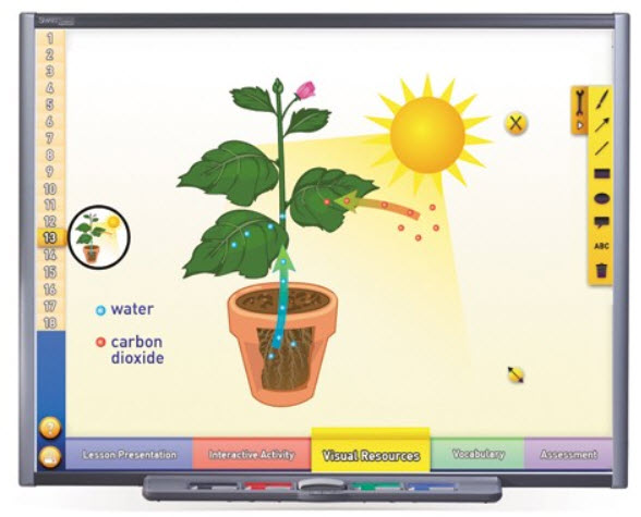 Photosynthesis & Respiration Multimedia Lesson - CD Version
