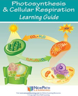 Photosynthesis & Cellular Reproduction Student Learning Guide - Grades 6 - 10 - Downloadable eBook