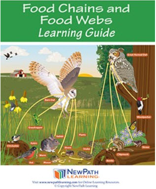 Food Chains & Food Webs Student Learning Guide - Grades 6 - 10 - Downloadable eBook