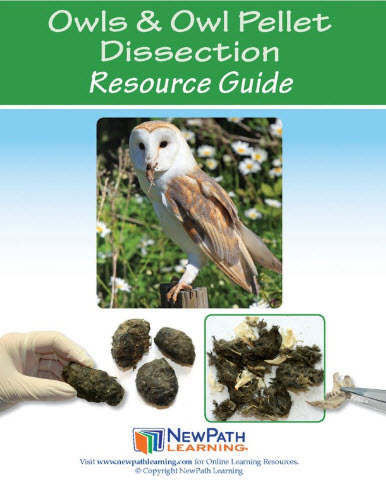 Owls and Owl Pellet Dissection Resource Guide - Grades 4 - 9 - Downloadable eBook