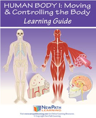 Human Body 1: Moving & Controlling the Body Student Learning Guide - Grades 6 - 10 - Downloadable eBook