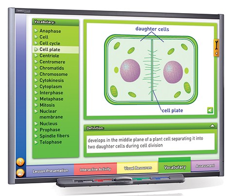 Mitosis: Cell Growth & Division Multimedia Lesson - Downloadable Version