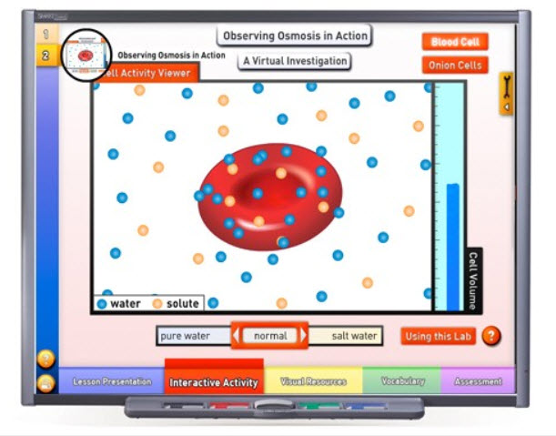 Osmosis & Diffusion - Cell Transport Multimedia Lesson - Downloadable Version