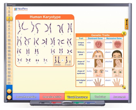 Genetics: The Study of Heredity Multimedia Lesson - Downloadable Version