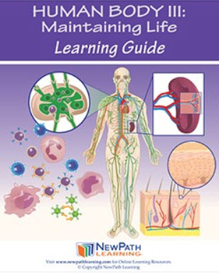 Human Body 3: Maintaining Life Student Learning Guide - Grades 6 - 10 - Print Version - Set of 10