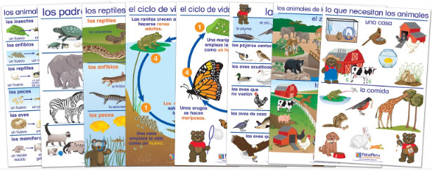 All About Animals Bulletin Board Chart Set of 8 - Early Childhood Spanish Edition