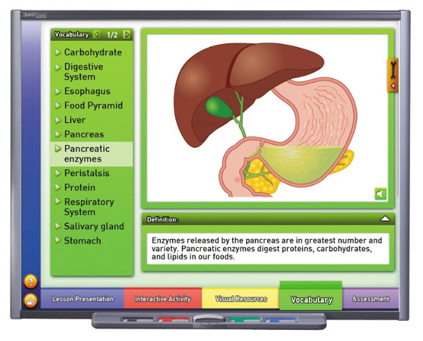 Systems of the Human Body II: Providing Fuel & Protection Multimedia Lesson - Downloadable Version
