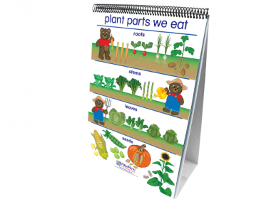 All About Plants Curriculum Mastery® Flip Chart Set - Early Childhood - English Version