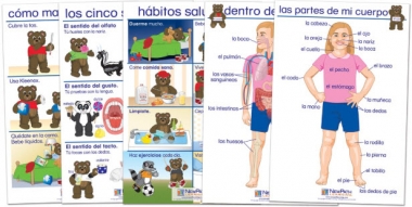 All About Me Bulletin Board Chart Set of 5 - Early Childhood Spanish Edition