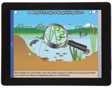 What are Ecosystems? Multimedia Lesson - Downloadable Version - Gr. 3-5