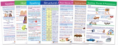 Spelling Rules Bulletin Board Chart Set of 7 - Laminated - "Write-On - Wipe Off" - 18" x 12"