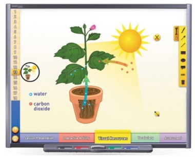 Photosynthesis & Respiration Multimedia Lesson - Downloadable Version