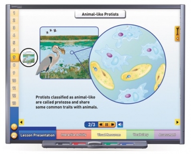 Protists - Pond Microlife Multimedia Lesson - CD Version
