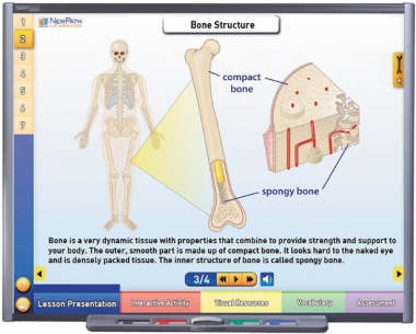 Systems of the Human Body I: Moving & Controlling the Body Multimedia Lesson - Downloadable Version