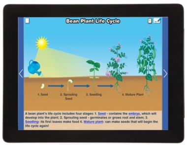 Life Cycles of Plants and Animals Multimedia Lesson - Downloadable Version Gr. 3-5