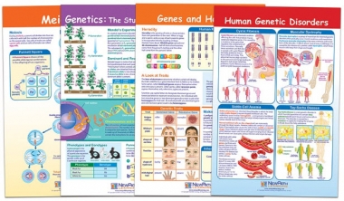 Genetics and Heredity Bulletin Board Chart Set