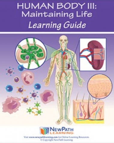Human Body 3: Maintaining Life Student Learning Guide - Grades 6 - 10 - Downloadable eBook