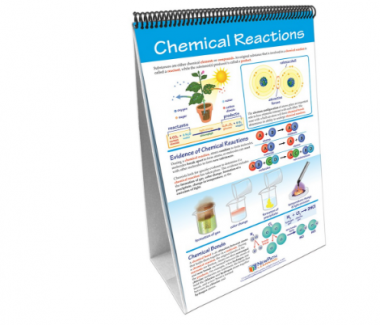 Chemical Reactions Curriculum Mastery® Flip Chart Set