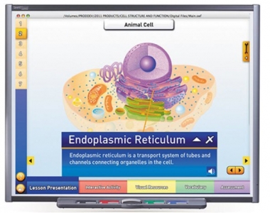 Cells - Animal & Plant Cell Structure Multimedia Lesson - Downloadable Version
