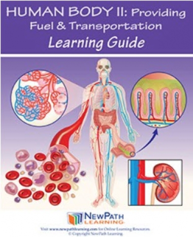Human Body 2: Providing Fuel & Transportation Student Learning Guide - Grades 6 - 10 - Print Version - Set of 10