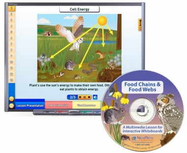 Food Chains & Food Webs Multimedia Lesson - CD Version