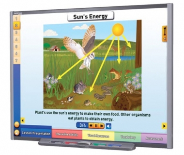 Food Chains & Food Webs Multimedia Lesson - Downloadable Version