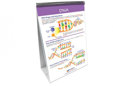 Chromosomes, Genes & DNA Curriculum Mastery® Flip Chart Set