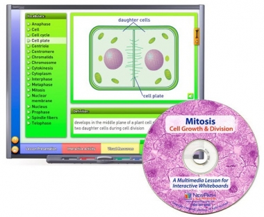 Mitosis: Cell Growth & Division Multimedia Lesson - CD Version