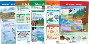 All About Animals Bulletin Board Chart Set, Gr. 1-2