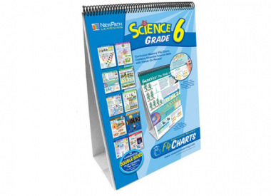 Grade 6 Science Curriculum Mastery® Flip Chart Set