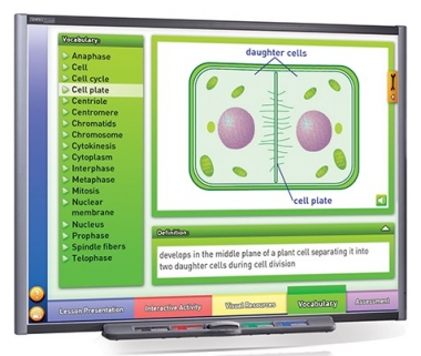Mitosis: Cell Growth & Division Multimedia Lesson - Downloadable Version