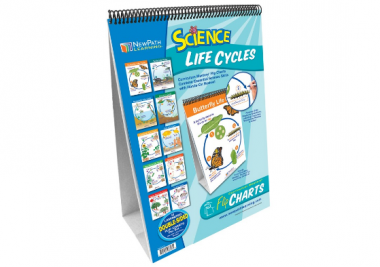Life Cycles Flip Chart Set