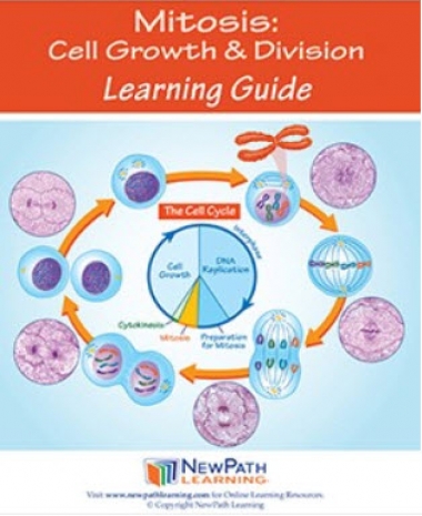 Mitosis: Cell Growth & Division Student Learning Guide - Grades 6 - 10 - Print Version - Set of 10