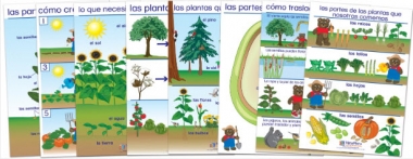 All About Plants Bulletin Board Chart Set of 8 - Early Childhood Spanish Edition
