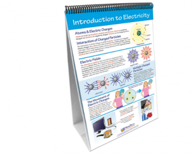 Electricity and Magnetism Curriculum Mastery® Flip Chart Set