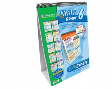 Grade 6 Math Curriculum Mastery® Flip Chart Set